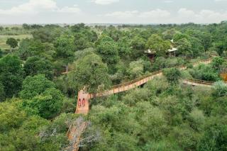 The Ritz-Carlton, Masai Mara Safari Camp - 6