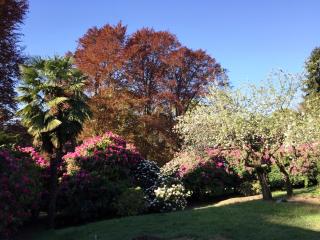 Corte Villa Donati - 2