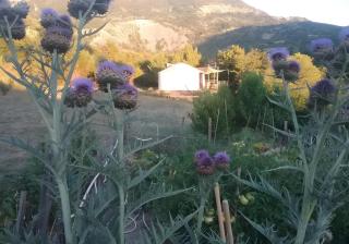 La Yourte Des Abeilles - 3