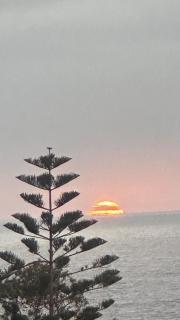 OceanView with Penthouse - 7