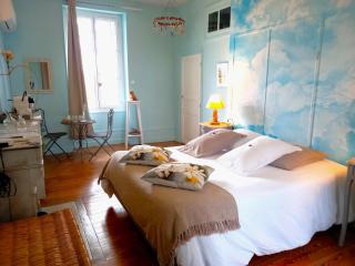 Château de la villeneuve - 8