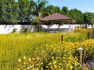 Golden Orchard Mornings - Bhopal - 9