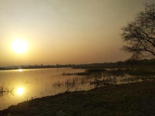 Golden Orchard Mornings - 8