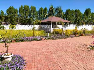 Golden Orchard Mornings - Bhopal - 7