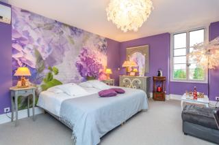 Château de la villeneuve - 7