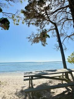 Sandies at the Beach - 4