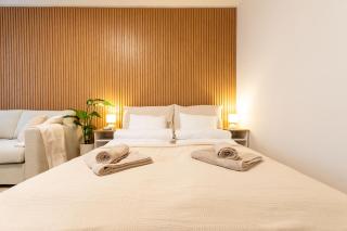 ZEN APT Prague 1 City Center Modern Studio - 5