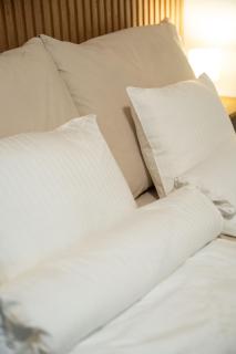 ZEN APT Prague 1 City Center Modern Studio - 6