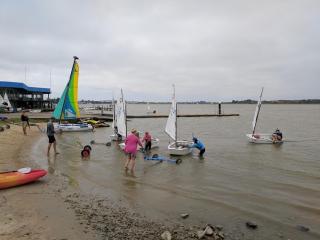 Beachwood - Fabulous Front-Row Goolwa Beach, Pet Friendly - 8