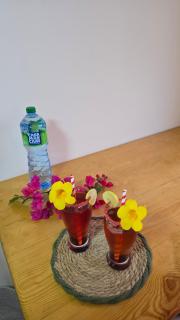 JAC Tropical Lodge - Bar, Restaurant, Massages, Plage, Nature, Excursions - Ressourcement et paix dans un paradis naturel et de confort les pieds dans l'eau - Respirez, vous êtes chez JAC - Navettes privées Banjul Aéroport - 6