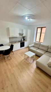 Cosy 5 - Belfort centre - 0