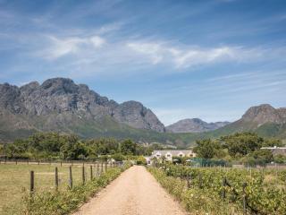 La Jolie Dauphine Guest House - 5