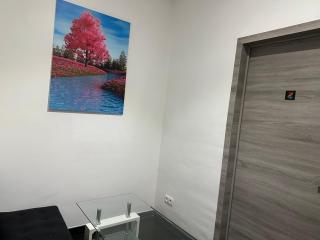 Luxurious Apartment - 4