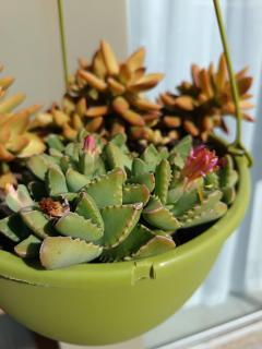 Bluewater Guesthouse - 6