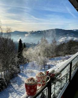 Apartment Mountain Panorama - 7