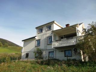 Panorama by the fjord - Stryn - 8