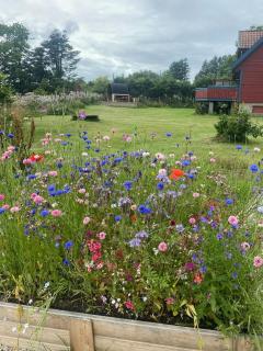 Romantic Country Cabin With Fjord Views On Åmøy - 2