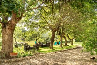 Cavato Il Bracconiere Amazing Apartment with a View of Florence - 2