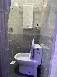 Palace Guest House - 3