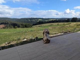 La Maison du Bois Dargent - Wifi, Netflix, Prime Video, SPA en option - 9