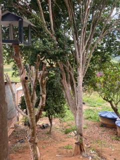 Refúgio Ouro de Mina - 2