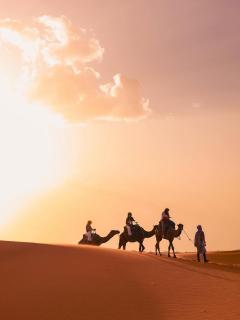 Merzouga tarwla camp - 8