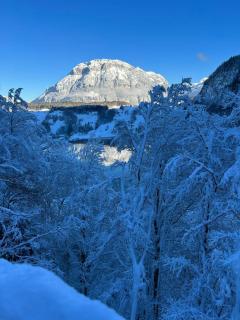 Hotel und Naturhaus Bellevue - 8