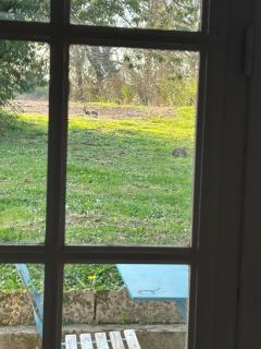 Ancienne ferme Gersoise - 1