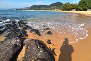 Femi Turner Beach House - 4