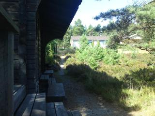 Welcome to a unique lakeside place on beautiful Torö - 9