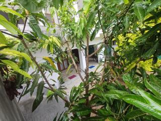 villa Calm Haven - 2