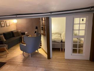 The Cozy Cave Odense Center - 3