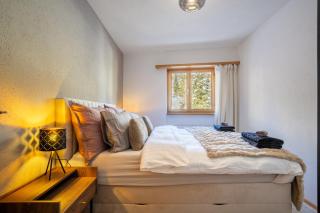 A&Y Alpenchique Apartment Davos - 1