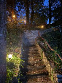 Paradise in Pasadena - 4