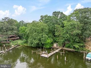 Paradise in Pasadena - 2