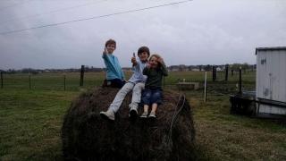 Lovely Cottage Rental with Waterfall on San Gabriel River near Austin, Texas - 9