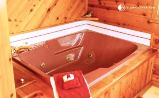 Spacious Lake Cabin Rental with a Private Hot Tub in Ogemaw County, Michigan - 9
