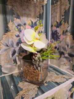 EViTA - Hajdúszoboszló - 1