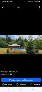 Cabañas Antu-Mapu - 4