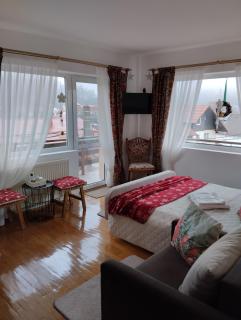 Pensiunea Transilvania Lodge - 5