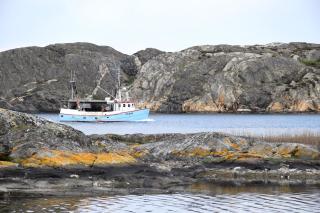 Spacious house near the sea in Skärhamn SE09149 - 4