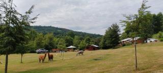 Cabañas Antu-Mapu - 6