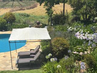 In the Vine Country Manor Guesthouse - 8