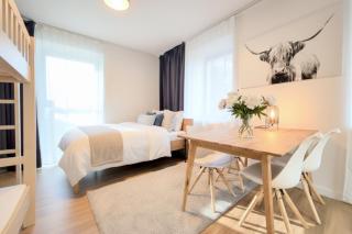 Javorná - Aura a Nord - 7