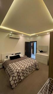 شقه مفروشه بالكامل و نظيفه - 0