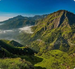 Wood Mountain Ella - 8