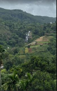 Wood Mountain Ella - 7