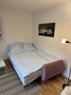 Das Falkhaus am Wasserfall - 3