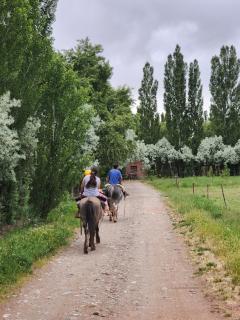 EcoMalargüe Posada & Hostel - 3