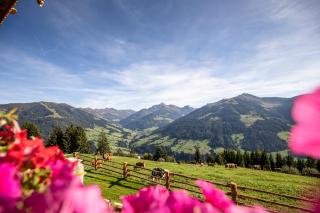 Ferienhütte Alpenherz - 7